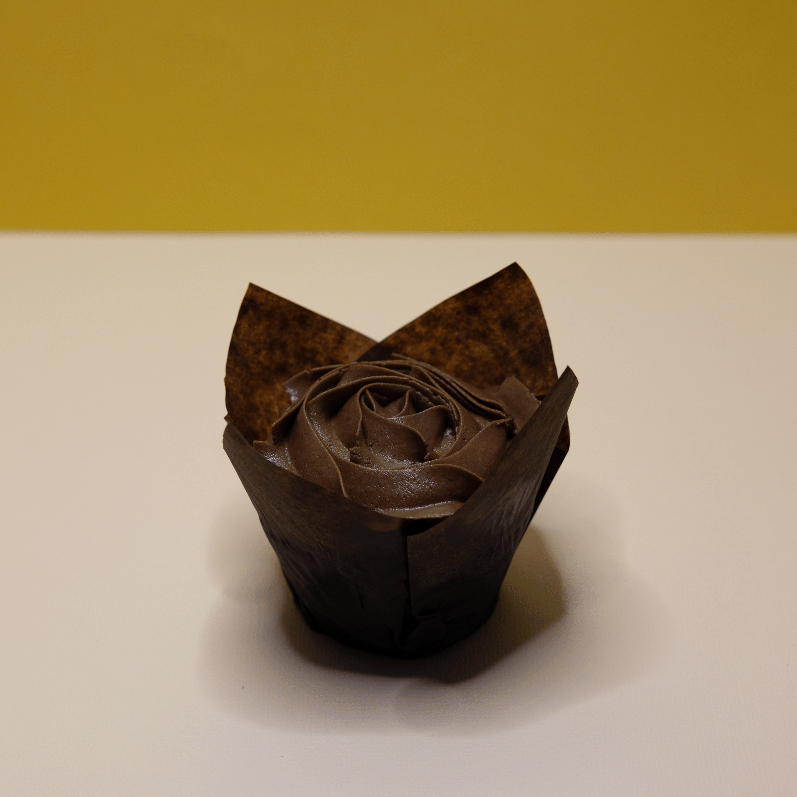 Chocolate cupcake