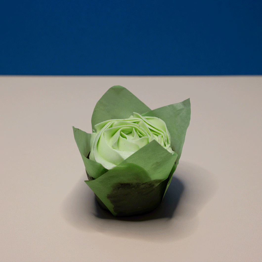 Mint chocolate chip cupcake